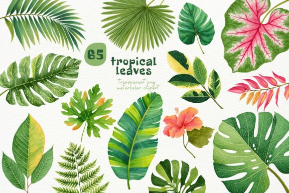 Download Watercolor Tropical Leaves PNG Clipart - Tropic Collection