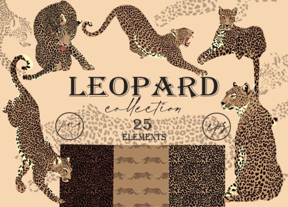 Download Leopard Clipart. Tropic Print. Patterns - Tropic Collection