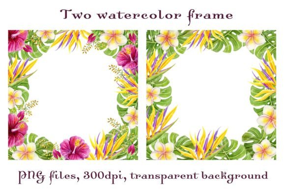 Download Tropical Frames Flowers Palm Leaves PNG - Tropic Collection