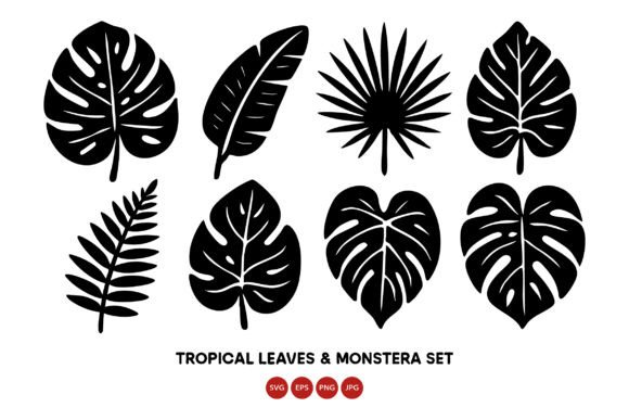 Download Tropical Leaves and Monstera Leaf Vecto - Tropic Collection